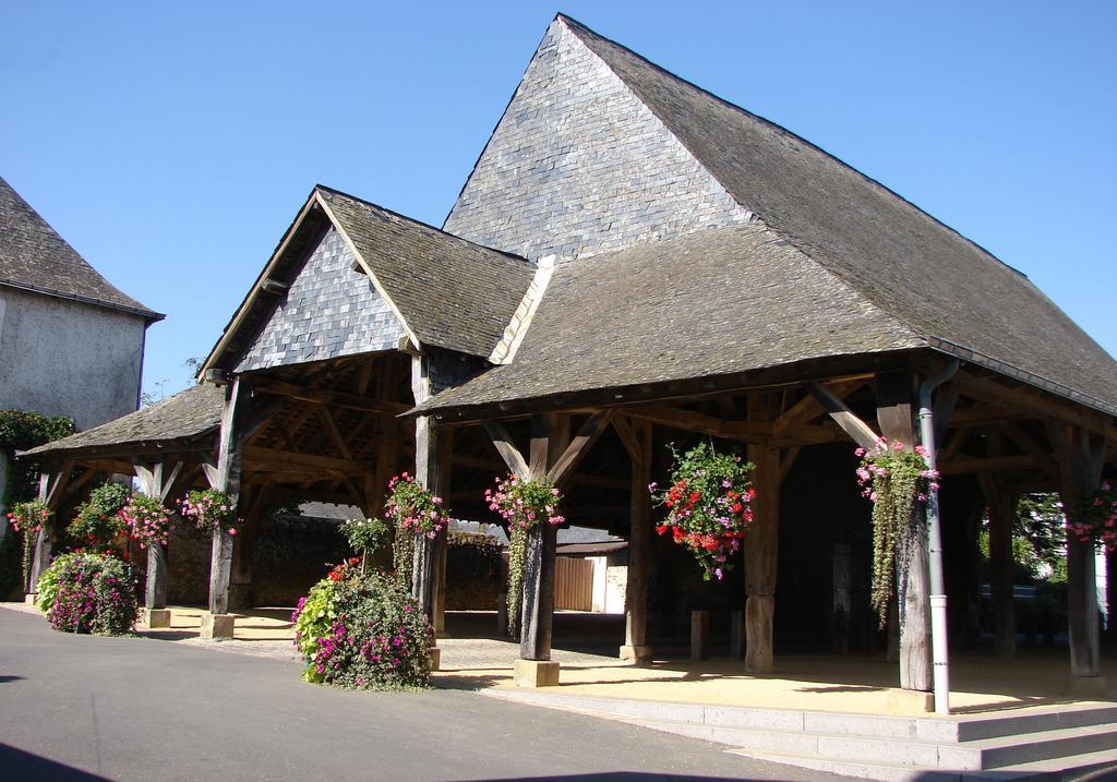 Le Relais De La Caleche Hotel Saint-Denis-dʼAnjou Buitenkant foto