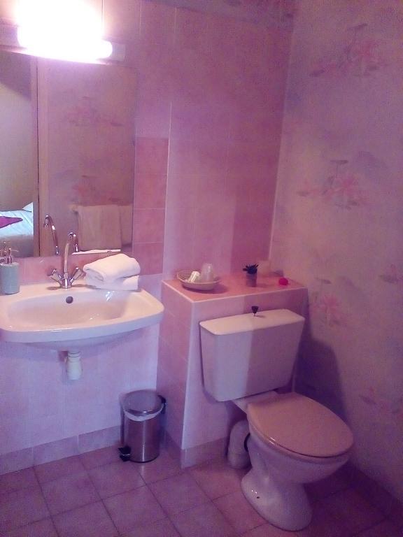 Le Relais De La Caleche Hotel Saint-Denis-dʼAnjou Buitenkant foto